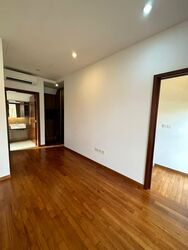 Holland Link (D10), Terrace #577696191